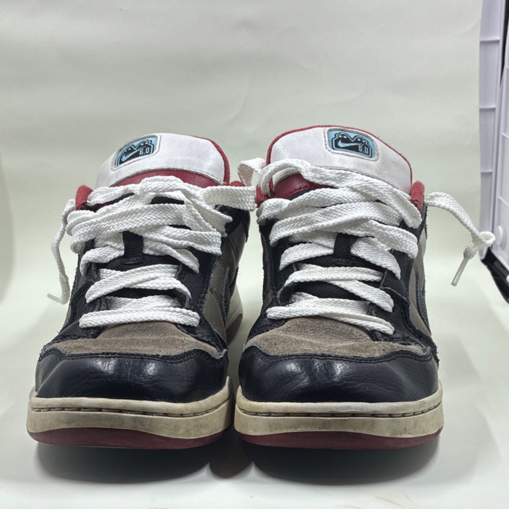 Nike Black Red White Men’s Low Top Skateboarding Lace Up 312279-005