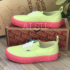 VANS Authentic Elastic Brain Wall Green Pink Sneakers Kid’s Size 11 VN0A38H4URQ