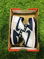 Nike Dunk Low NBA 75th Anniversary Blue White TD Multi Sizes DC9562-001