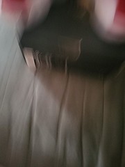 Jordan 12 Retro
