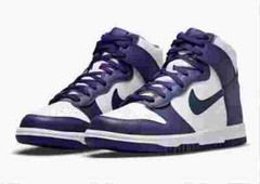 Nike Dunk High Electro Purple Midnight Navy DH9751-100