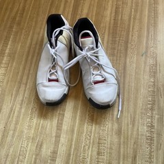 Jordan TE 3 Low 3Y