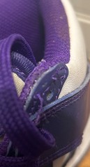 Nike Dunk HI Electro Purple Midnight Navy Size 5Y