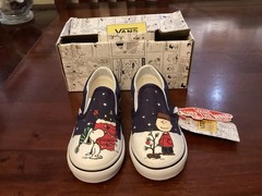 Vans ( Peanuts) Charlie Brown Christmas Tree & Snoopy Slip on Sneakers 8.5 Kids