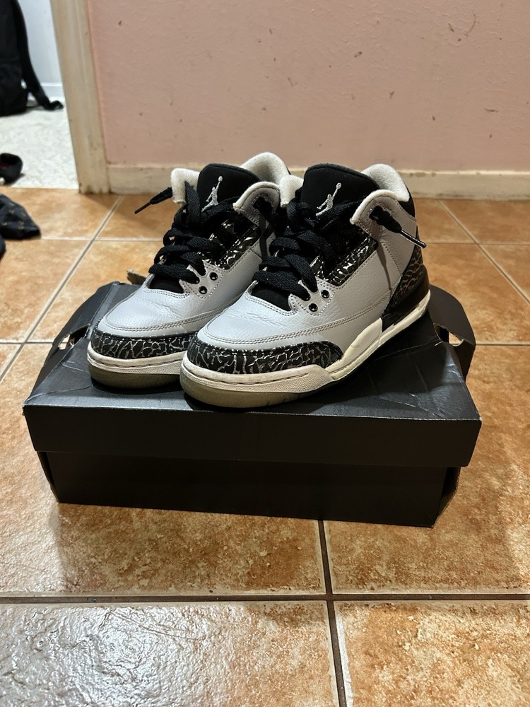 Air Jordan 3 Retro Grey Wolf For 200$USD They Have Been Used A Little Bit