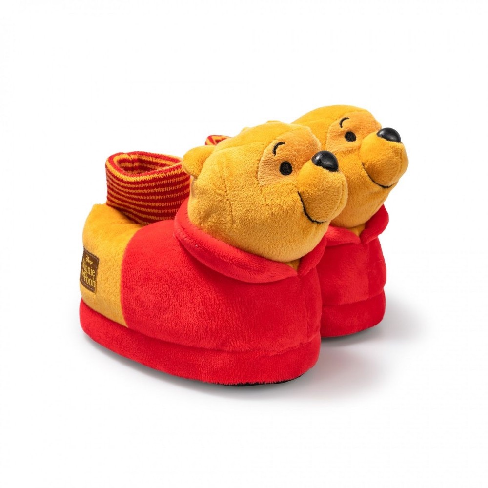Disney Winnie The Pooh / Snoopy Peanuts / Sesame 3D Plushie Sock Top Slippers