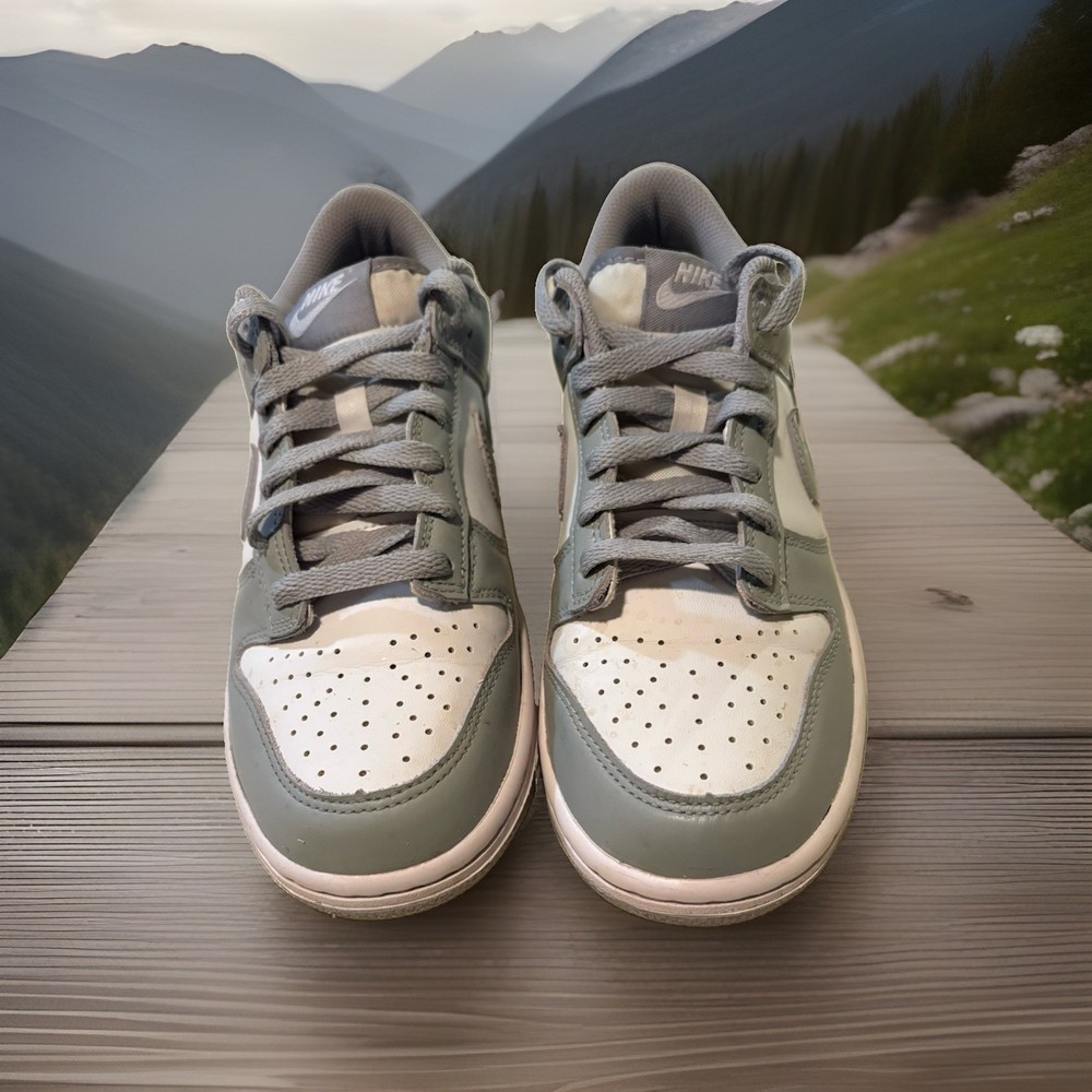 Nike Dunk Low White Gray Leather Sneakers Lace Up youth Shoes 6.5Y FB9109-123