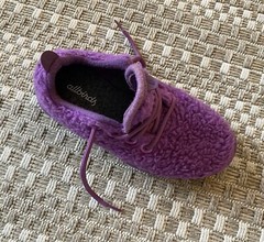 ALLBIRDS SBR Smallbirds Wool Runner Fluffy Fuzzy Wool Kids Sneakers – Y1 Youth 1