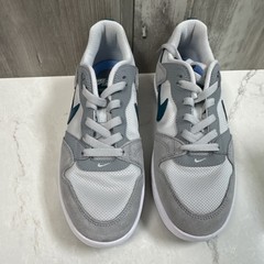 Nike SB Alleyoop GS Particle Grey/Geode Teal US 7 CJ0883-003