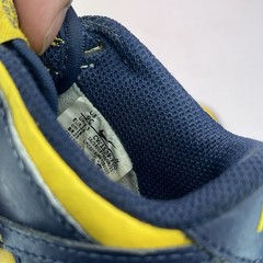 Nike Dunk Low TD „Michigan“ Size 9C Varsity Maize Navy CW1589-700