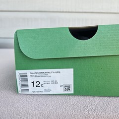 Nike Giannis Immortality 4 Sneaker KC 12C Hook & Loop Grey Green FZ6733-002