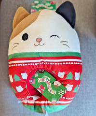 Squishmallow Slippers Christmas Cat Kitty Youth Size 4-5 Shoes NWT