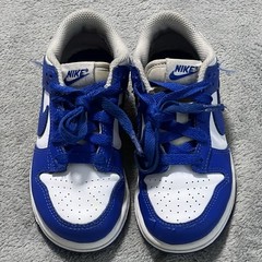 Nike Dunk Low Sneakers Little Kids PS 12C Blue Kentucky Shoes FB9108-131
