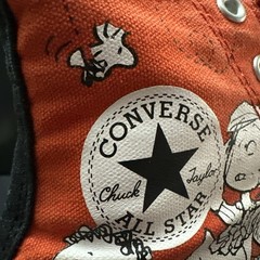 PEANUTS Converse Chuck Taylor Kids All Star Hi Tops Charlie Brown Youth sz 2
