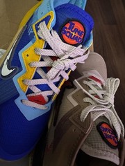 Size 6 (GS) – Nike LeBron 18 x Space Jam Low Wile E. x Roadrunner