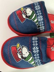 Peanuts Snoopy & Woodstock Slippers Youth Sz. M:11-12, Red & Blue, NEW