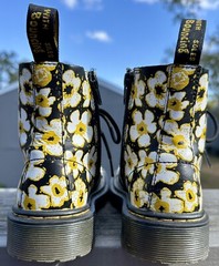Dr Martens 1460 Pascal Junior Pansy Yellow Black Floral US 2 AirWair Boot Zip Up