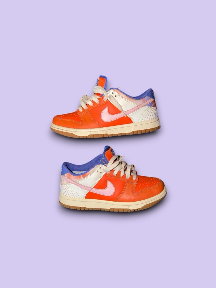 Nike Dunk Low Everything You Need GS Women’s Size 5 FN0600 801