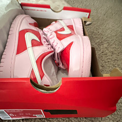 Nike Dunk Low BG Pink Foam Summit White Low Top Sneakers US 6Y IQ0218-663