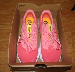 Nike Star Runner 3, Sea Coral DA2776-800 Size 6Y