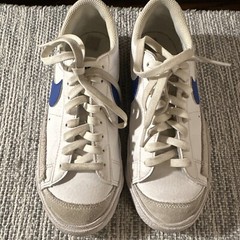Nike Bruin React SB Summit White Signal Blue (CJ1661-100) Size 4/5Y