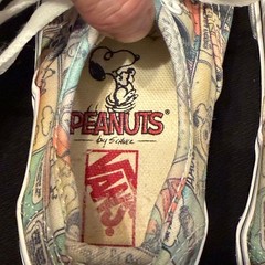 Vans x Peanuts Authentic ‚Comics‘ Snoopy 2017 Sneakers Little Kids sz 11.5
