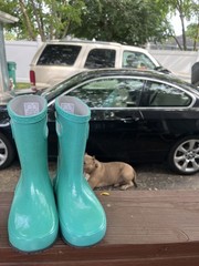 Bogs Kids‘ Skipper Waterproof Rain Boots Shoes Size 11