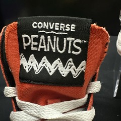 PEANUTS Converse Chuck Taylor Kids All Star Hi Tops Charlie Brown Youth sz 2