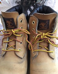Timberland Basic Big Kids 6 Inch Waterproof Wheat Boots Size 4.5M #10960