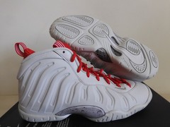 Nike Little Posite One Foamposite GS USA Moon Photon Dust-Silver [DJ4024-001]