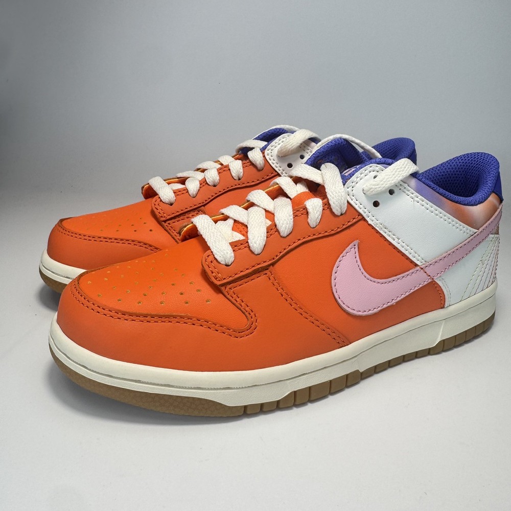 Nike Dunk Low Everything You Need GS Size 5 Fits Woman’s 6.5 FN0600 801