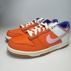 Nike Dunk Low Everything You Need GS Size 5 Fits Woman’s 6.5 FN0600 801
