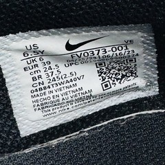 Nike GS 5Y Dunk Low Black/Blue/Red-White UNIVERSITY (FV0373-001)