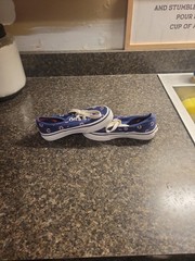 VANS Authentic MLB Chicago Cubs KIDS Size 11.5 Athletic Low Top Skate Shoes.