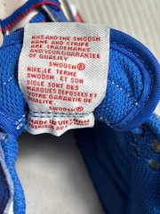 Nike Dunk Low Next Nature PS ‚Superhero‘ Kids Size 3Y Blue FD0673-400