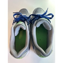 Nike Air Max 90 Wolf Grey Deep Royal Blue Electric Green 724821-005 Kids 6Y