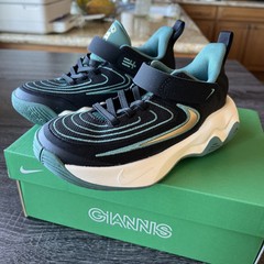 Nike Giannis Immortality 4 – Black Metallic Gold Bicoastal – Size 11c