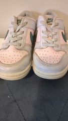 Nike Dunk Low Retro TD Size 10C Grey Mineral Teal Toddler