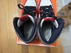 Size 6.5 (GS) – Jordan 1 Retro OG High Chicago Lost & Found