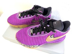 Nike LeBron XX SE Vivid Purple/Metallic Gold FD0207-500 Size US 5Y NEW