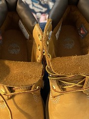 Toddler’s Timberland Boot Wheat Nubuck (12809), 12M, UK 11.5, EU 30