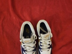Nike Dunk Low (Gs) White-Wheat-Midnight Navy Sz 3y -Women Sz 4.5