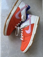 NIKE Dunk Low Everything You Need SZ Y 4.5 Or 6 Women EUC FN 0600 801