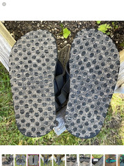 sanuk kids slingback sandal