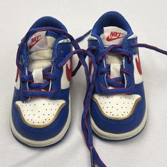 Nike Dunk Next Nature Superhero Toddler Boys Sneakers Shoes FD0675-400 SZ 5 C