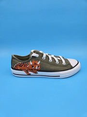 Converse All Star 671612F CTAS Ox Field Surp Low top Dinosaur Print Unisex #F6