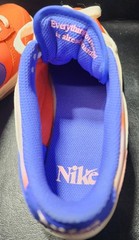 Grade School Nike Dunk Low SE ‚Everything You Need‘ (GS) Size 4.5Y