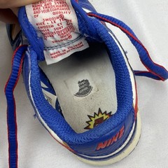 Nike Dunk Next Nature Superhero Toddler Boys Sneakers Shoes FD0675-400 SZ 5 C