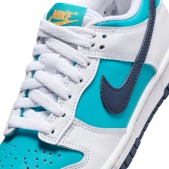 Nike Dunk Low Dusty Cactus Thunder Blue (HF4794-345) GS Size 5 / Women’s 6.5