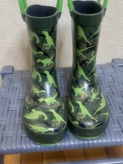 Northside Toddler Dinosaur Rain Boots